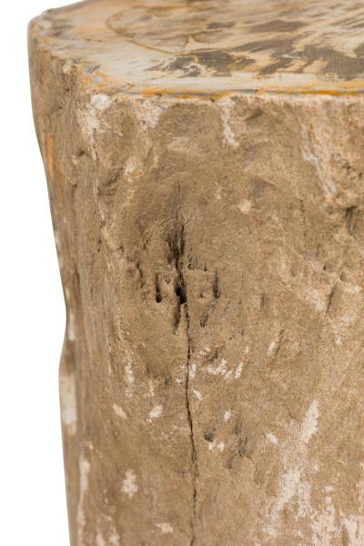 Natural Live Edge Petrified Wood Stump