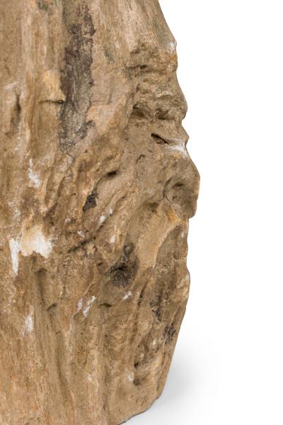 Natural Live Edge Petrified Wood Stump