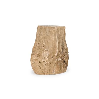 Natural Live Edge Petrified Wood Stump