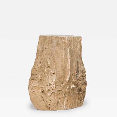 Natural Live Edge Petrified Wood Stump