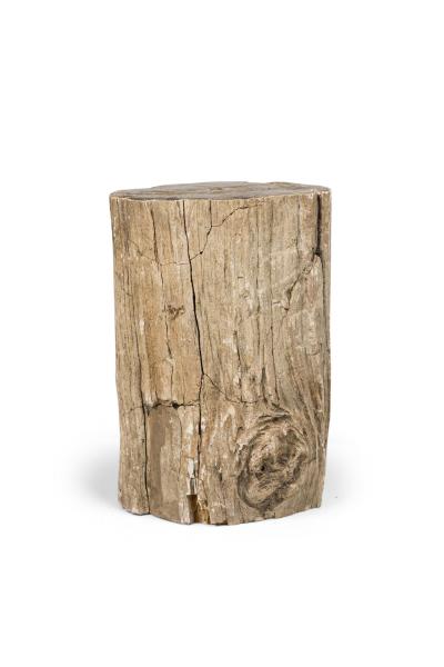 Natural Live Edge Petrified Wood Stump