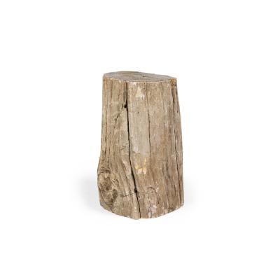 Natural Live Edge Petrified Wood Stump