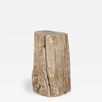 Natural Live Edge Petrified Wood Stump
