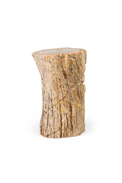 Natural Live Edge Petrified Wood Stump