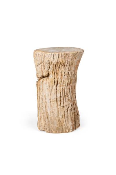 Natural Live Edge Petrified Wood Stump