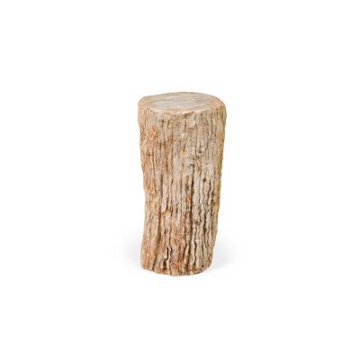 Natural Live Edge Petrified Wood Stump