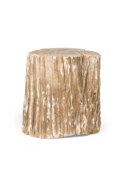 Natural Live Edge Petrified Wood Stump