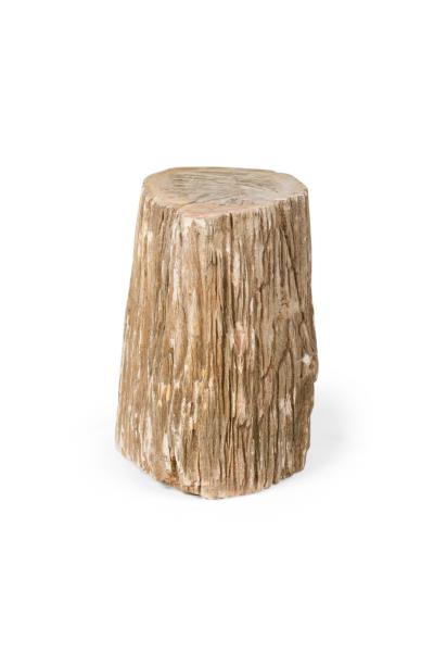 Natural Live Edge Petrified Wood Stump