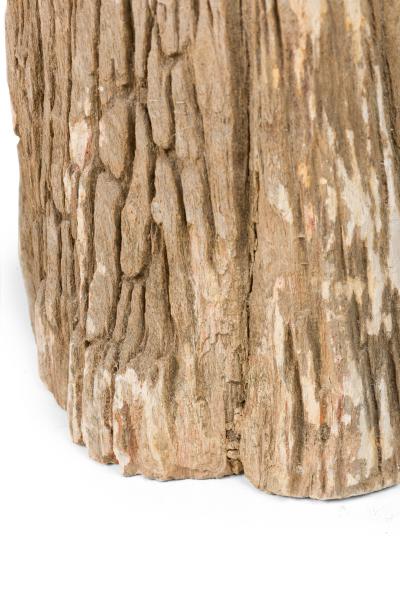 Natural Live Edge Petrified Wood Stump