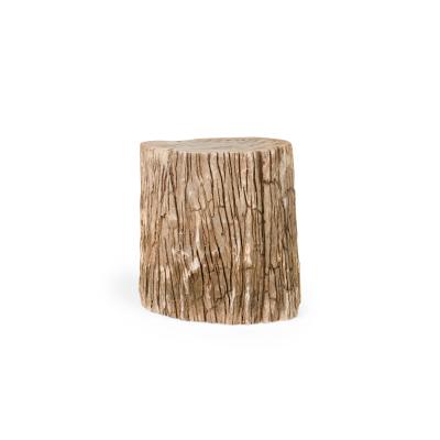 Natural Live Edge Petrified Wood Stump