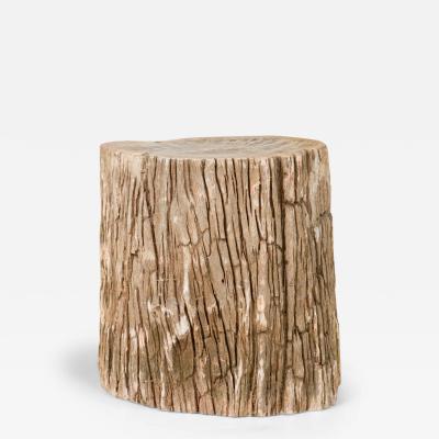 Natural Live Edge Petrified Wood Stump