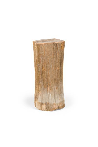Natural Live Edge Petrified Wood Stump