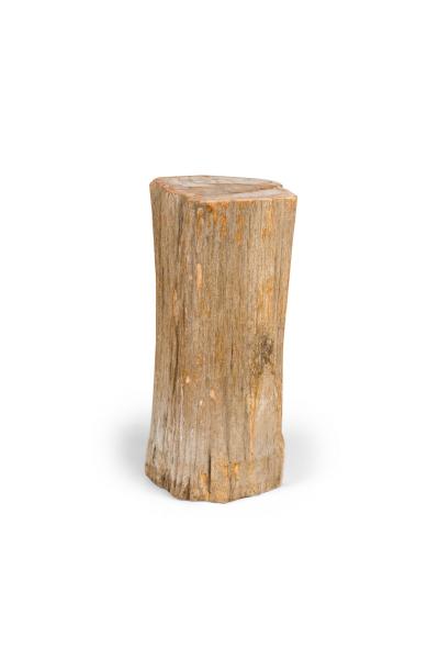 Natural Live Edge Petrified Wood Stump