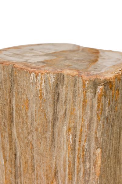 Natural Live Edge Petrified Wood Stump
