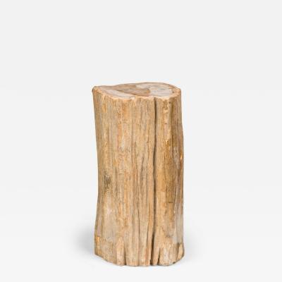 Natural Live Edge Petrified Wood Stump
