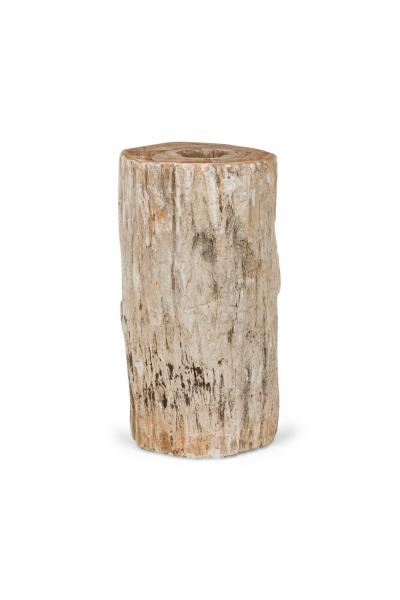 Natural Live Edge Petrified Wood Stump