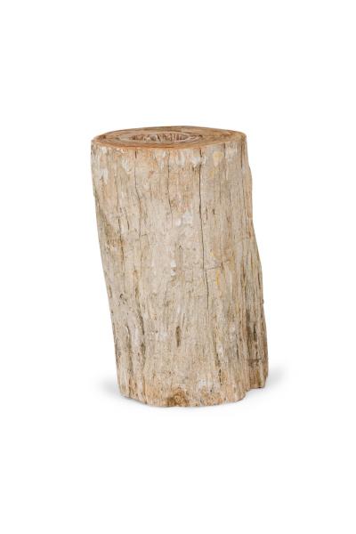 Natural Live Edge Petrified Wood Stump