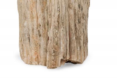 Natural Live Edge Petrified Wood Stump