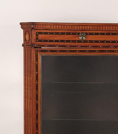 Neoclassical Inlaid Display Case Sweden Early 19th Century