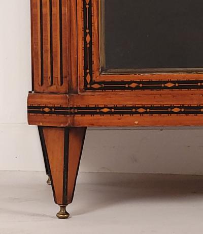 Neoclassical Inlaid Display Case Sweden Early 19th Century