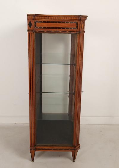 Neoclassical Inlaid Display Case Sweden Early 19th Century
