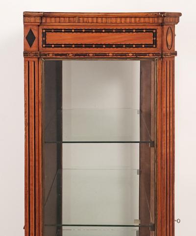 Neoclassical Inlaid Display Case Sweden Early 19th Century