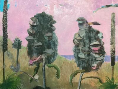 Nick Olsen Cooloola Landscape