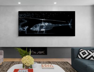 Nick Veasey The Fly Away 15 