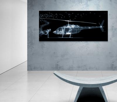 Nick Veasey The Fly Away