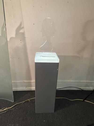 Nicola L ILLUMINATED LUCITE MALE FEMALE ON GREY LUCITE PEDESTAL IN THE MANNER OF NICOLA