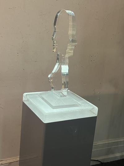 Nicola L ILLUMINATED LUCITE MALE FEMALE ON GREY LUCITE PEDESTAL IN THE MANNER OF NICOLA