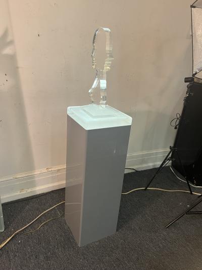 Nicola L ILLUMINATED LUCITE MALE FEMALE ON GREY LUCITE PEDESTAL IN THE MANNER OF NICOLA