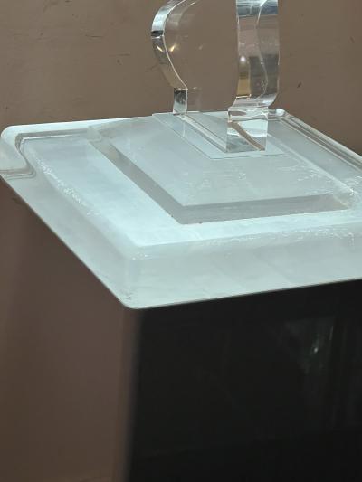 Nicola L ILLUMINATED LUCITE MALE FEMALE ON GREY LUCITE PEDESTAL IN THE MANNER OF NICOLA