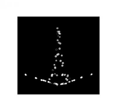 Nicolas Auvray Photography on Paper Blurry Eiffel Nicolas Auvray New York 2015 NA3