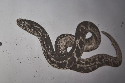 Nicolas S bastien Reese Desert Mirror