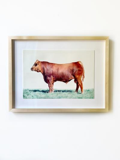 Nicolas V Sanchez Totem