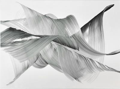 Nikolaos Schizas Rays