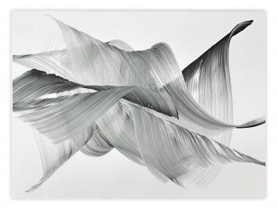 Nikolaos Schizas Rays