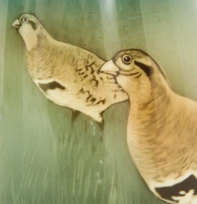 Nils Emil Lundstrom Tall Art Nouveau Rorstrand Vase by Nils Emil Lundstrom for Rorstrand