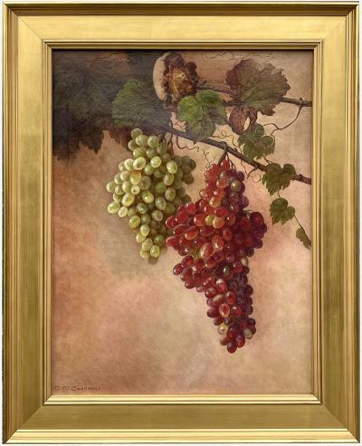 Nina M Cochrane Red and Green Grapes on The Vine