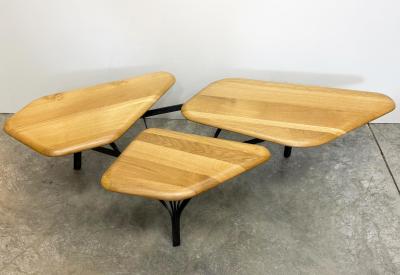 No Duchaufour Lawrance No Duchaufour Lawrance Orgnic Modern Borghese Coffee Table France