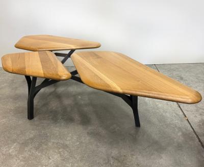 No Duchaufour Lawrance No Duchaufour Lawrance Orgnic Modern Borghese Coffee Table France