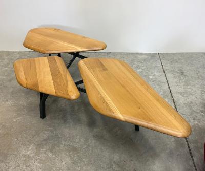 No Duchaufour Lawrance No Duchaufour Lawrance Orgnic Modern Borghese Coffee Table France