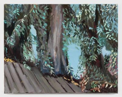 Noa Charuvi Eucalyptus