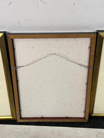 OLGA FROBE KAPTEYN EXCEPTIONAL WILDLY COLORED SET OF 14 ART DECO LITHOGRAPHS BY OLGA FROBE KAPTEYN