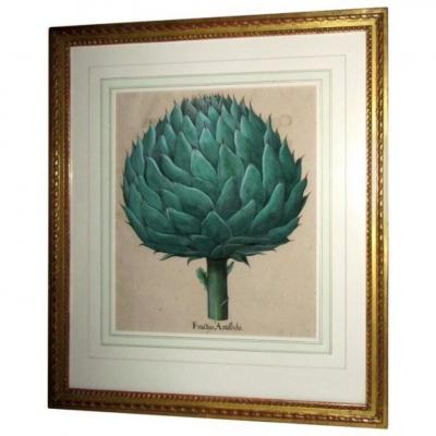 ORIGINAL FRAMED FRUCTUS ARTISCHOCHI ENGRAVING BY BASILIUS BESLER