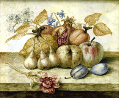 Octavianus Monfort Still Life with Fruit and Carnation and Hyacinths atop a Ledge