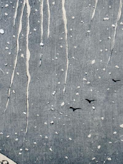 Ohara Shoson Japanese Woodblock Print Snow on Willow Bridge by Ohara Shoson