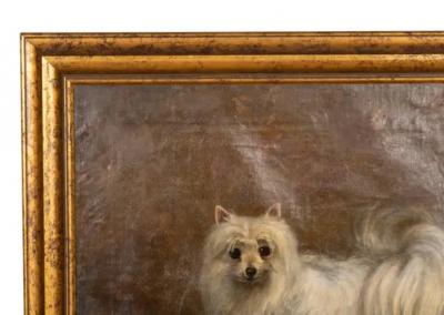 Oil on Canvas Painting of a Seidenspitz Dog
