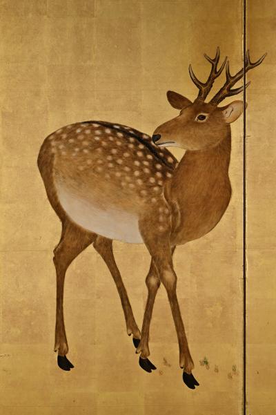 Okamoto Toyohiko 19th Century Japanese Deer Screen by Okamoto Toyohiko Maruyama Shijo School